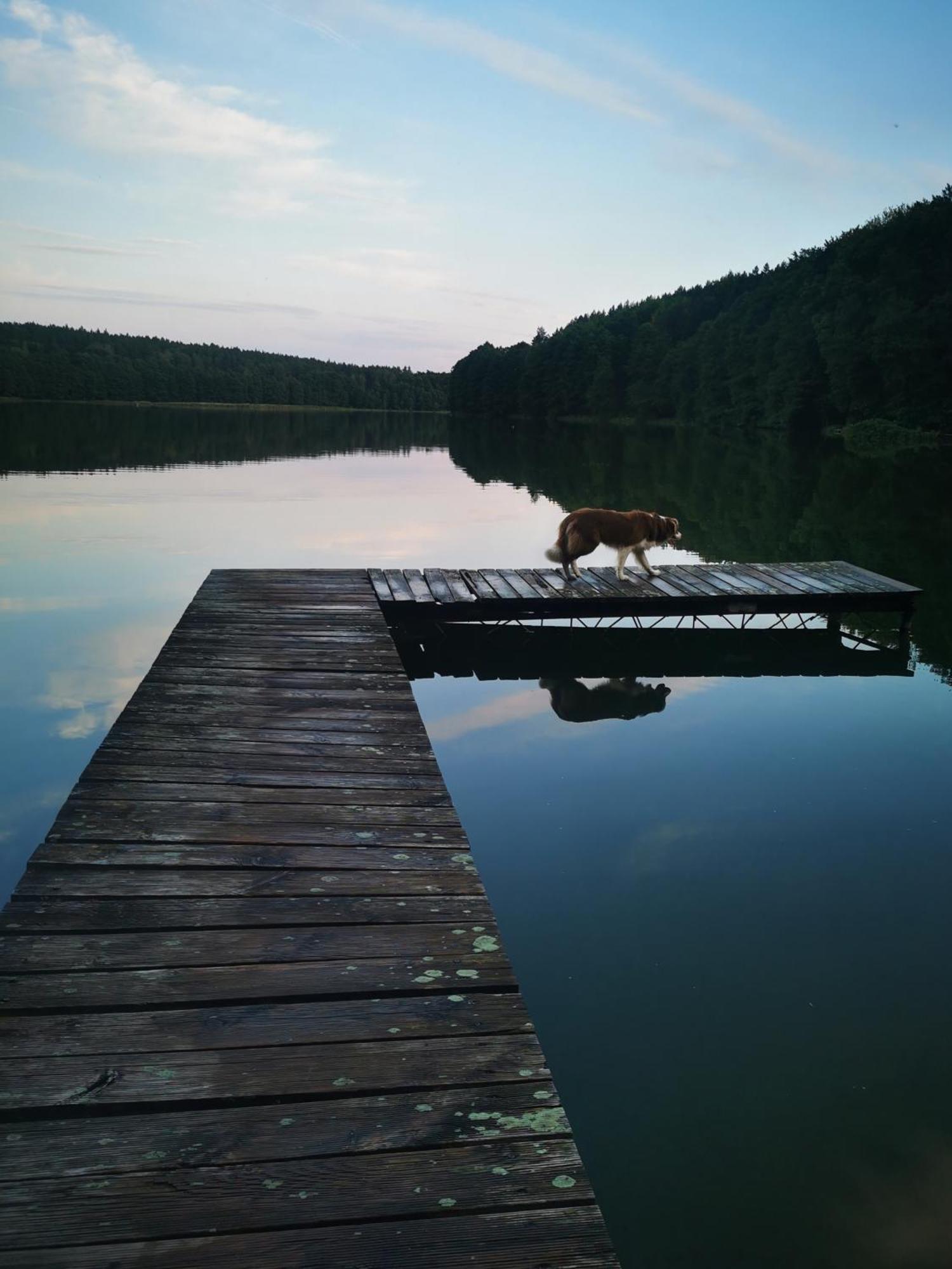 Mlynska Dolina Villa Wałcz Buitenkant foto