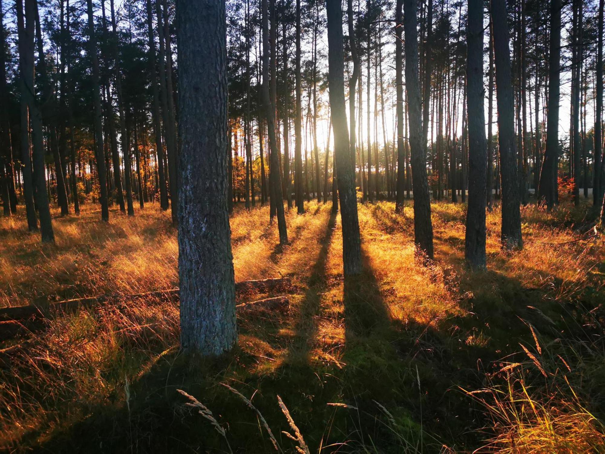 Mlynska Dolina Villa Wałcz Buitenkant foto